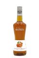 ΛΙΚΕΡ MONIN ORANGE CURACAO 700ML