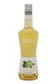 ΛΙΚΕΡ ELDERFLOWER MONIN 700ML 20%